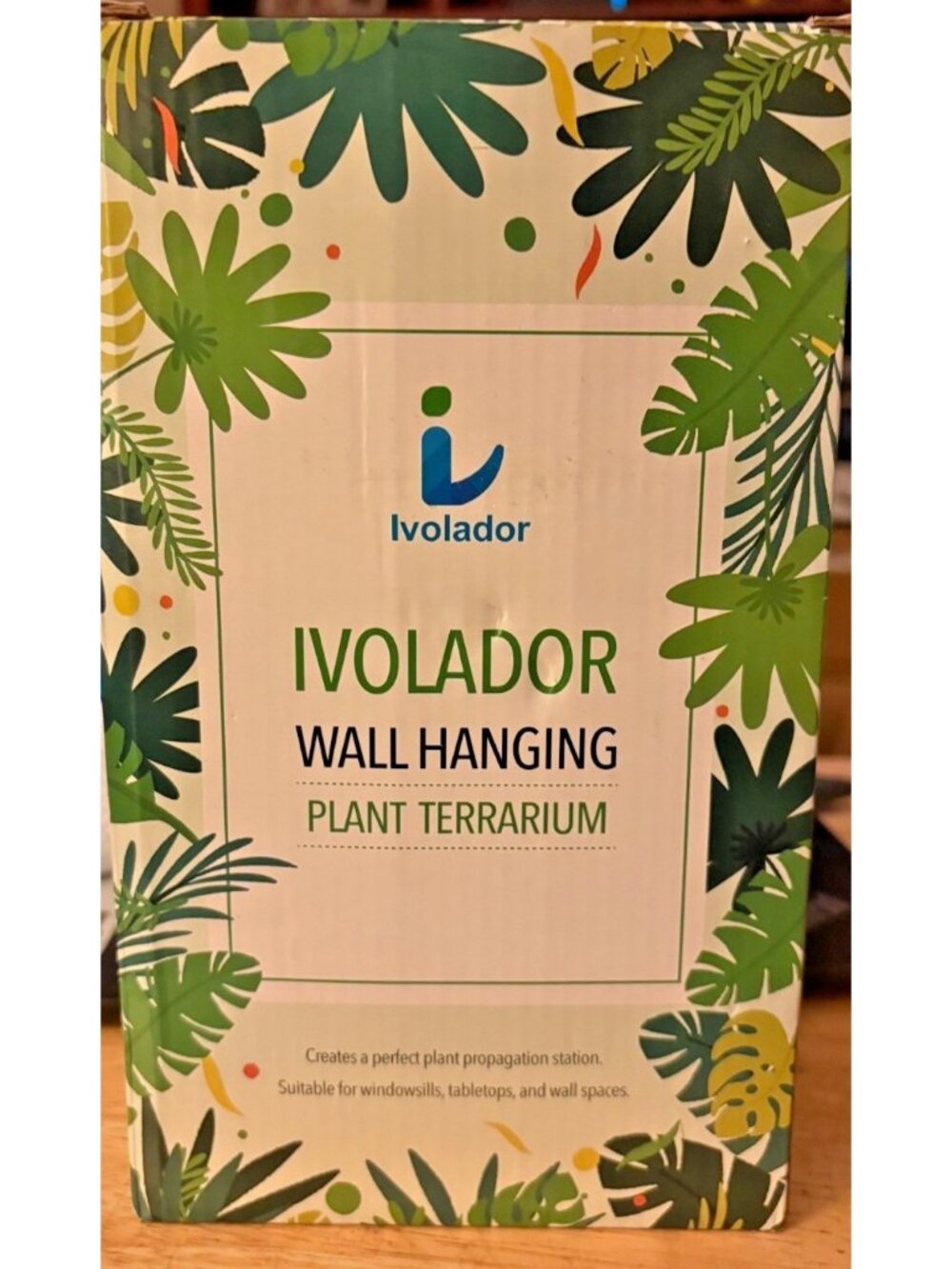 Ivolador Wall Hanging Plant Terrarium With Wooden Frame Glass Tubes Houseplants